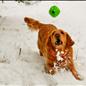 Thanks for the Spring Snow!
